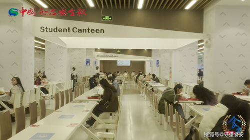 潜心修炼，宏图众创 西安翻译学院守护校园食品安全的匠心之道